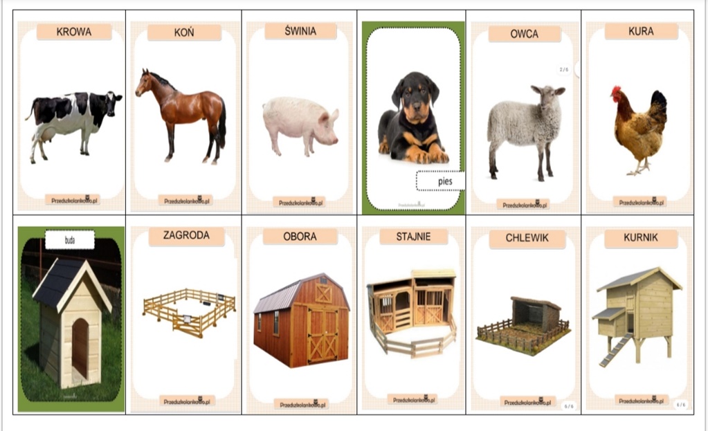 Zwierzęta na wiejskim podwórku 30.03.2020 r- gr. III i IV – Przedszkole  Samorządowe w Szczercowie